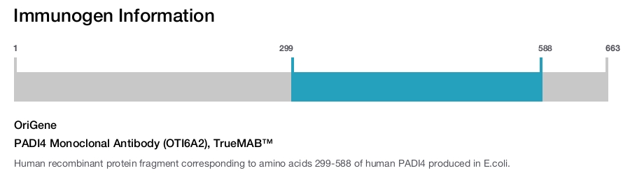 PADI4 Monoclonal Antibody (OTI6A2), TrueMAB&trade;
