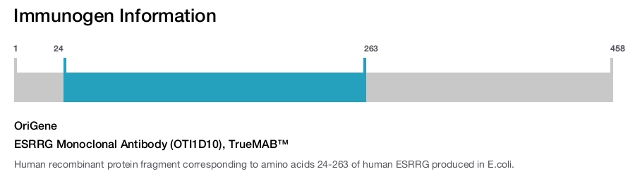 ESRRG Monoclonal Antibody (OTI1D10), TrueMAB&trade;