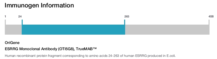 ESRRG Monoclonal Antibody (OTI5G8), TrueMAB&trade;