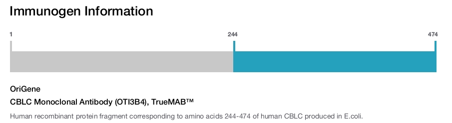 CBLC Monoclonal Antibody (OTI3B4), TrueMAB&trade;