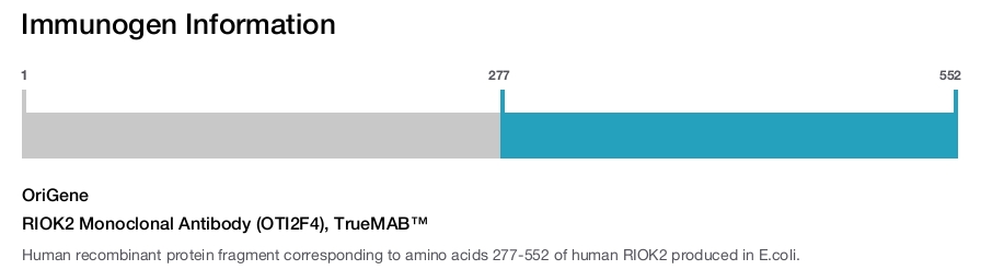 RIOK2 Monoclonal Antibody (OTI2F4), TrueMAB&trade;