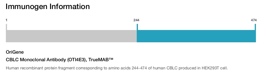 CBLC Monoclonal Antibody (OTI4E3), TrueMAB&trade;