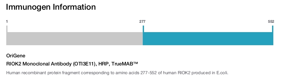 RIOK2 Monoclonal Antibody (OTI3E11), HRP, TrueMAB&trade;