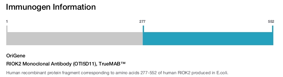 RIOK2 Monoclonal Antibody (OTI5D11), TrueMAB&trade;