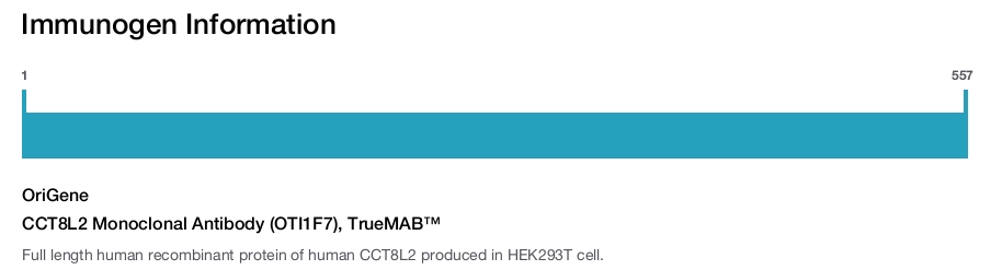 CCT8L2 Monoclonal Antibody (OTI1F7), TrueMAB&trade;
