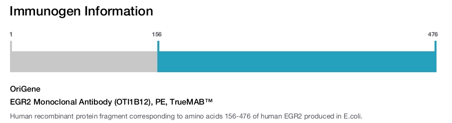 EGR2 Monoclonal Antibody (OTI1B12), PE, TrueMAB&trade;