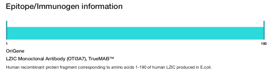 LZIC Monoclonal Antibody (OTI3A7), TrueMAB&trade;
