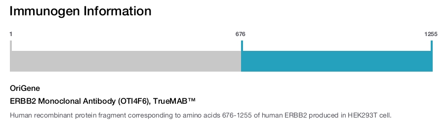 ERBB2 Monoclonal Antibody (OTI4F6), TrueMAB&trade;