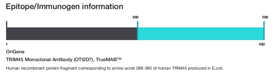 TRIM45 Monoclonal Antibody (OTI2D7), TrueMAB&trade;