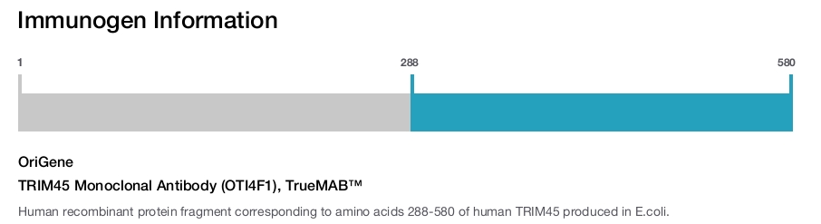 TRIM45 Monoclonal Antibody (OTI4F1), TrueMAB&trade;