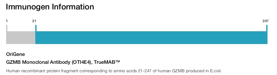 GZMB Monoclonal Antibody (OTI4E4), TrueMAB&trade;