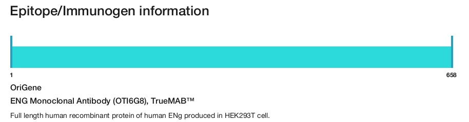 ENG Monoclonal Antibody (OTI6G8), TrueMAB&trade;