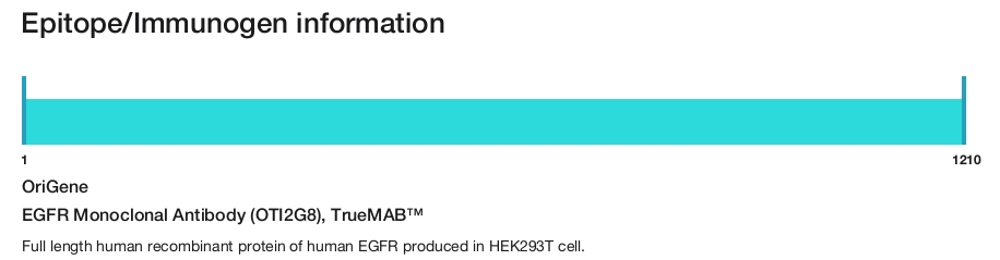 EGFR Monoclonal Antibody (OTI2G8), TrueMAB&trade;