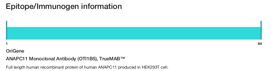 ANAPC11 Monoclonal Antibody (OTI1B5), TrueMAB&trade;