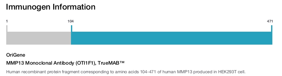 MMP13 Monoclonal Antibody (OTI1F1), TrueMAB&trade;