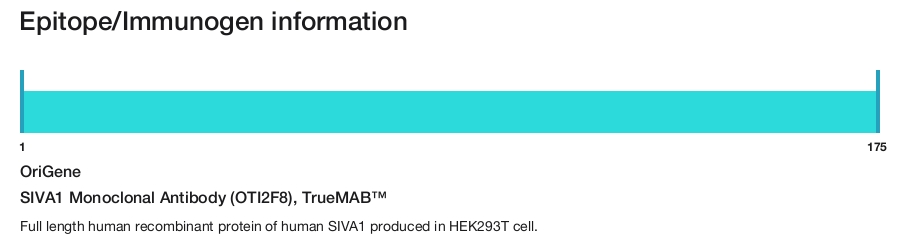 SIVA1 Monoclonal Antibody (OTI2F8), TrueMAB&trade;