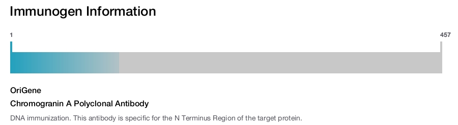 Chromogranin A Polyclonal Antibody