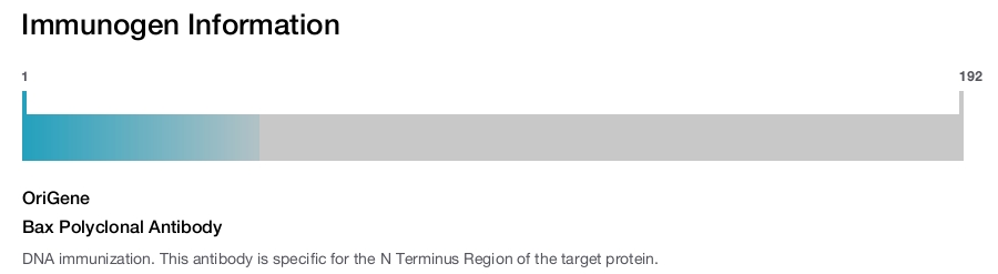 Bax Polyclonal Antibody