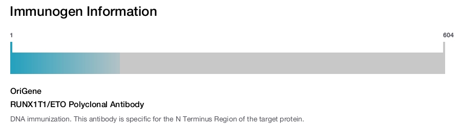 RUNX1T1/ETO Polyclonal Antibody