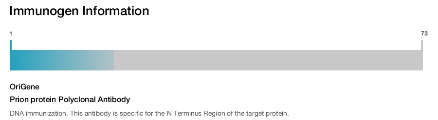 Prion protein Polyclonal Antibody
