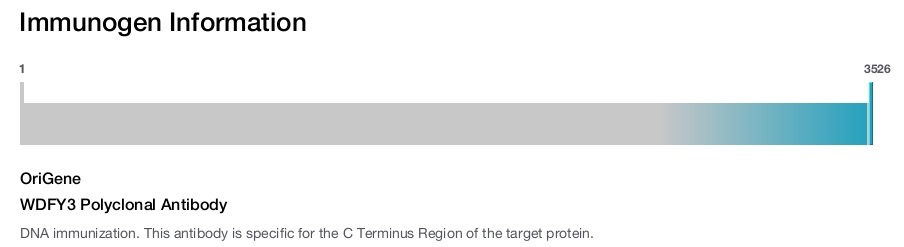 WDFY3 Polyclonal Antibody
