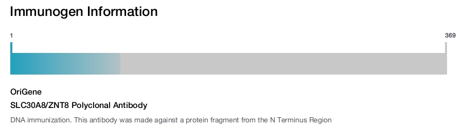 SLC30A8/ZNT8 Polyclonal Antibody