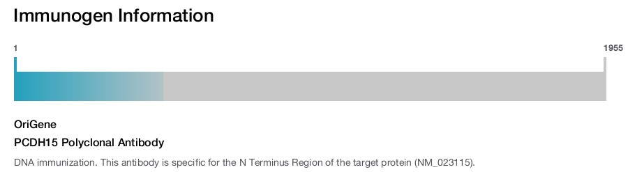 PCDH15 Polyclonal Antibody