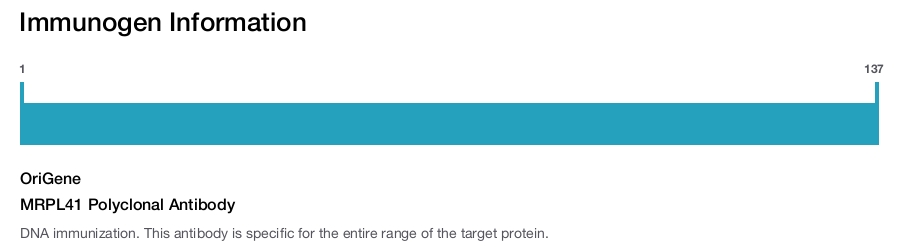 MRPL41 Polyclonal Antibody