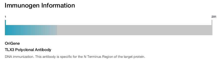 TLX3 Polyclonal Antibody