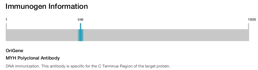MYH Polyclonal Antibody