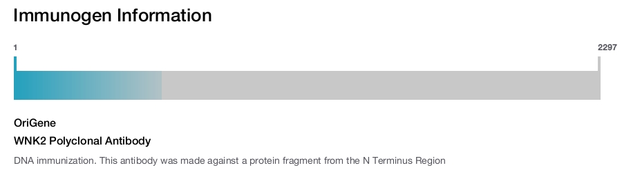 WNK2 Polyclonal Antibody