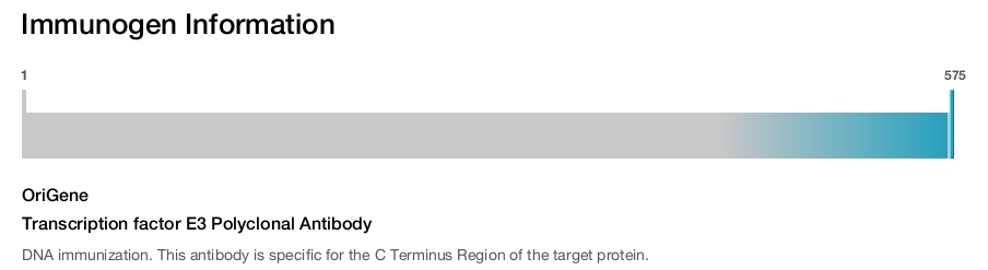 Transcription factor E3 Polyclonal Antibody