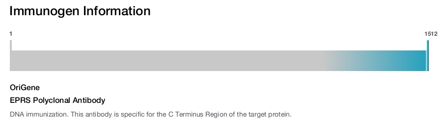 EPRS Polyclonal Antibody