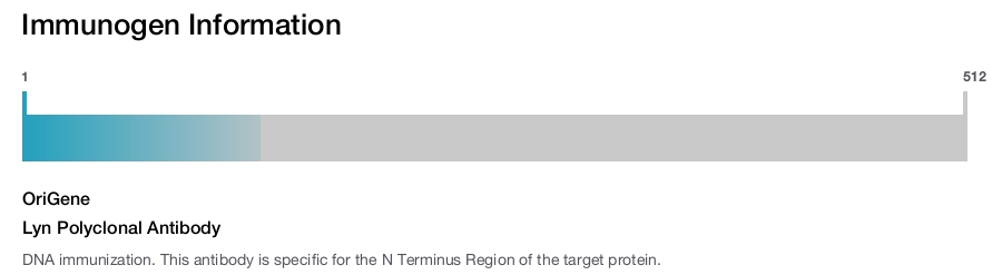 Lyn Polyclonal Antibody