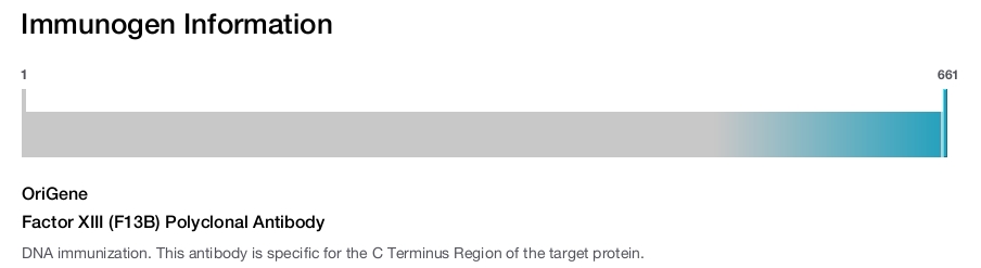 Factor XIII (F13B) Polyclonal Antibody
