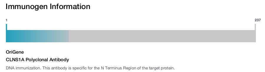CLNS1A Polyclonal Antibody