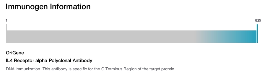 IL4 Receptor alpha Polyclonal Antibody
