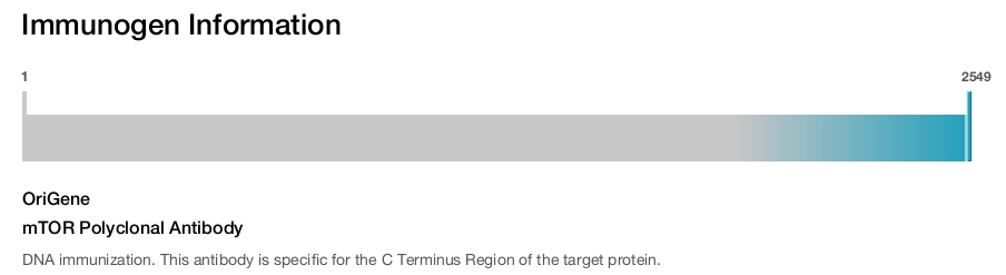 mTOR Polyclonal Antibody