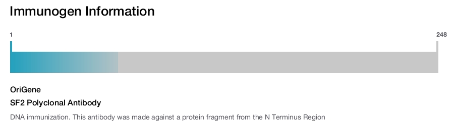 SF2 Polyclonal Antibody