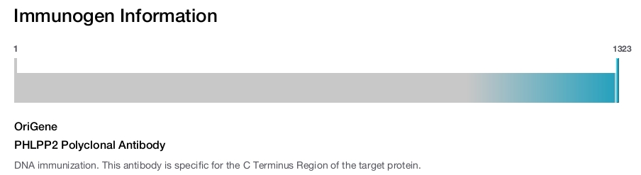 PHLPP2 Polyclonal Antibody