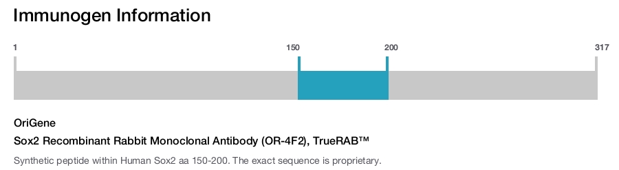 Sox2 Recombinant Rabbit Monoclonal Antibody (OR-4F2), TrueRAB&trade;