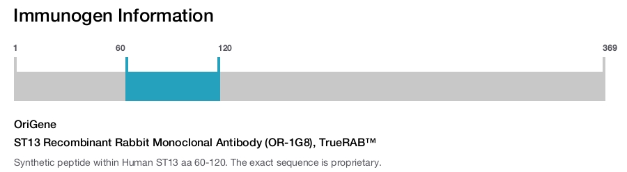 ST13 Recombinant Rabbit Monoclonal Antibody (OR-1G8), TrueRAB&trade;