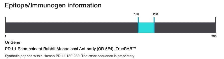 PD-L1 Recombinant Rabbit Monoclonal Antibody (OR-5E4), TrueRAB&trade;