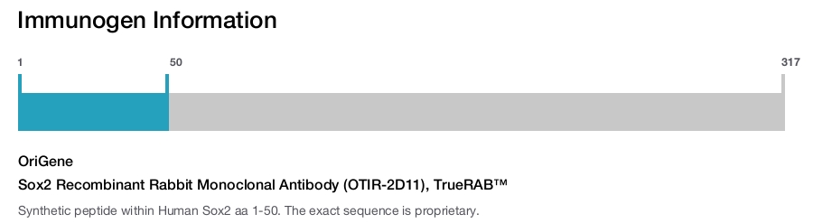 Sox2 Recombinant Rabbit Monoclonal Antibody (OTIR-2D11), TrueRAB&trade;