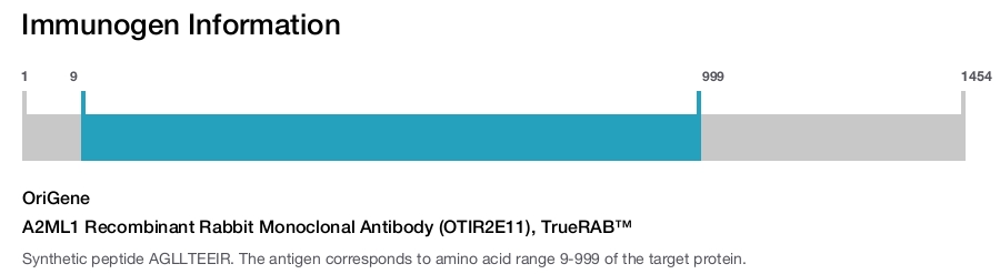 A2ML1 Recombinant Rabbit Monoclonal Antibody (OTIR2E11), TrueRAB&trade;