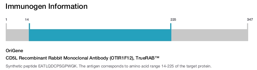 CD5L Recombinant Rabbit Monoclonal Antibody (OTIR1F12), TrueRAB&trade;