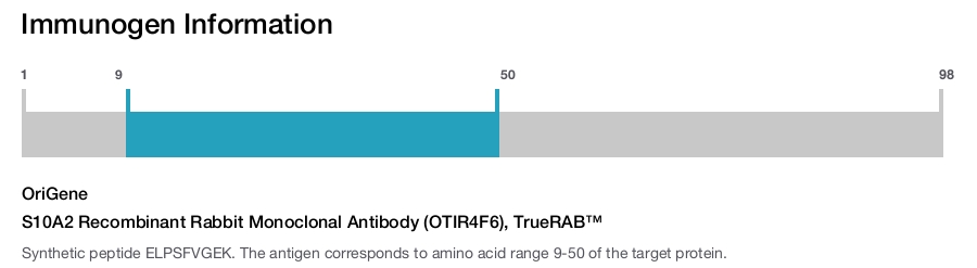 S10A2 Recombinant Rabbit Monoclonal Antibody (OTIR4F6), TrueRAB&trade;
