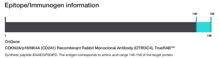 CDKN2A/p16INK4A (CD2A1) Recombinant Rabbit Monoclonal Antibody (OTIR3C4), TrueRAB&trade;