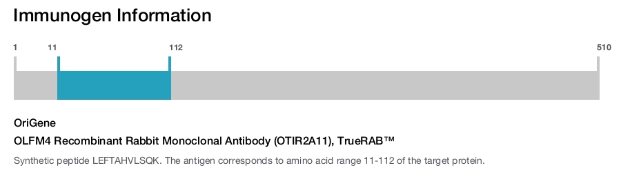 OLFM4 Recombinant Rabbit Monoclonal Antibody (OTIR2A11), TrueRAB&trade;
