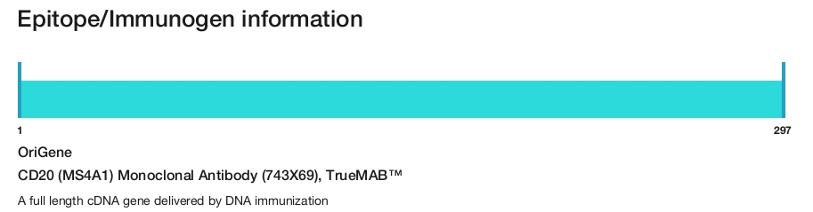 CD20 (MS4A1) Monoclonal Antibody (743X69), TrueMAB&trade;